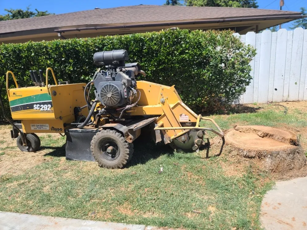 Top-rated landscaping services experts serving Fresno, CA - Hdz Tree Services