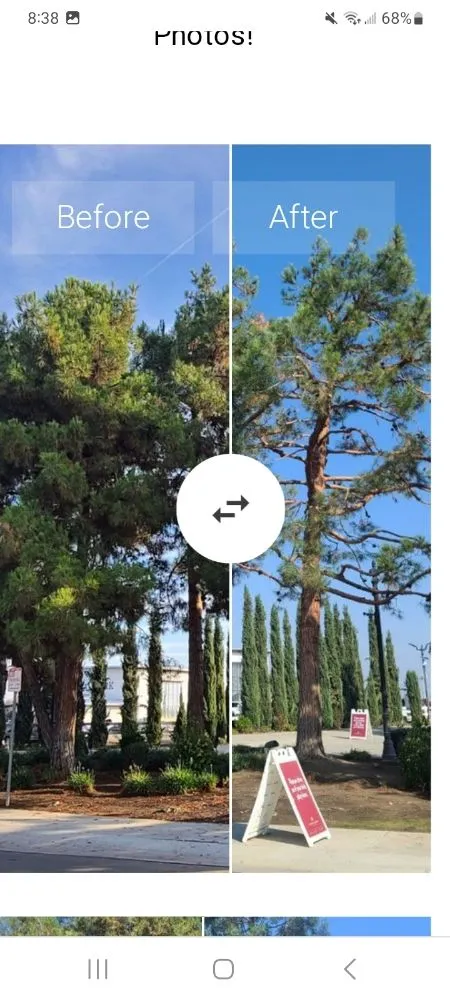 Affordable residential landscaping for outdoor upgrades across Fresno, CA - Hdz Tree Services