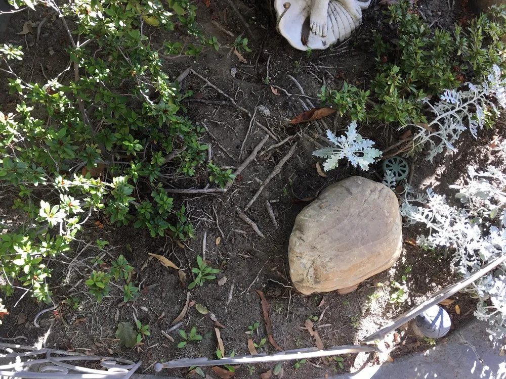 Professional lawn care service in Ventura, CA - HE Landscape