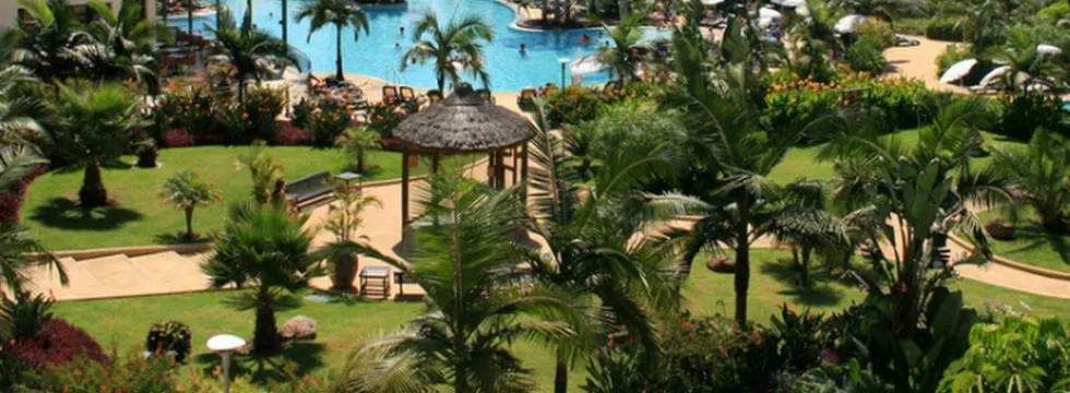 Trusted landscape installation experts serving Lahaina, HI - He-Man Landscaping