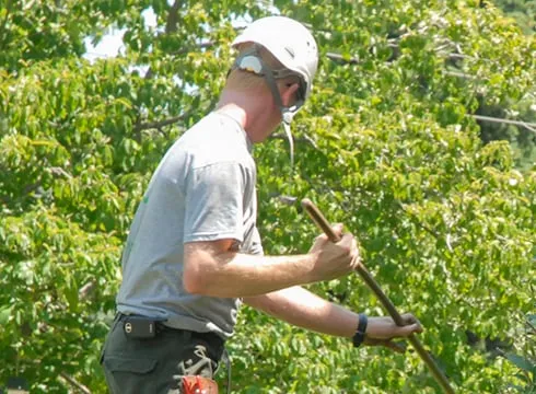 Expert lawn care service for outdoor upgrades in Lahaina, HI by He-Man Landscaping