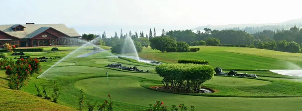 Affordable landscaping services in Lahaina, HI - He-Man Landscaping