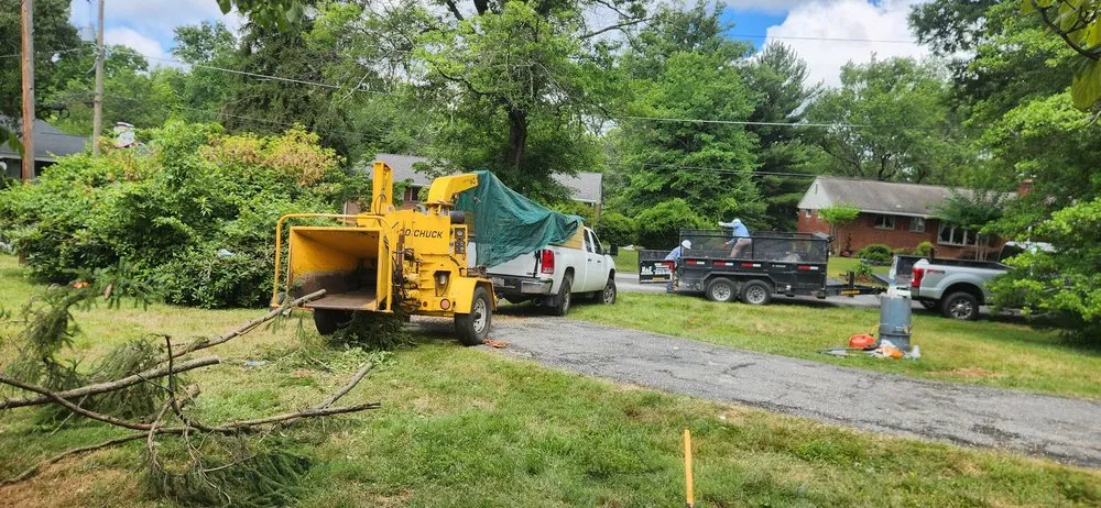 Professional landscaping services in Silver Spring, MD by H&E Tree Service & Landscaping