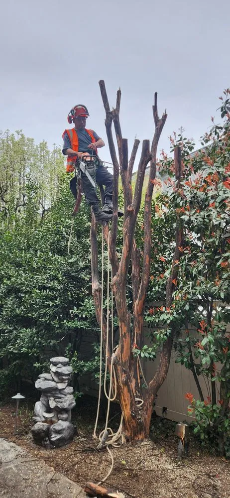 Reliable landscape installation for residential properties across Silver Spring, MD - H&E Tree Service & Landscaping