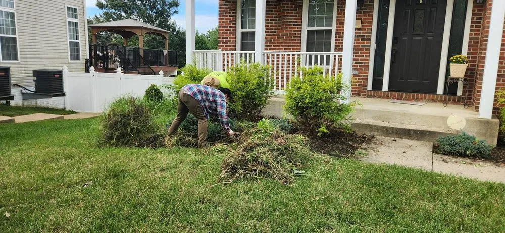 Affordable landscape design for year-round maintenance across Silver Spring, MD - H&E Tree Service & Landscaping