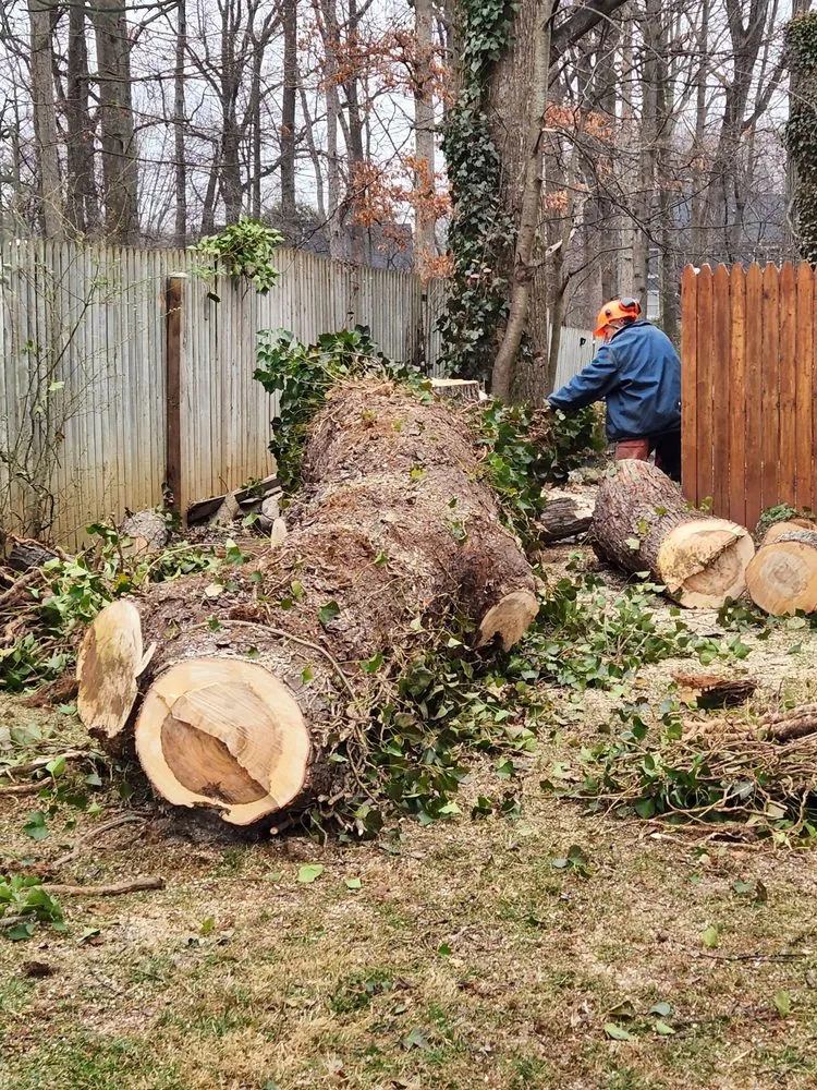 Expert yard cleanup service in Silver Spring, MD by H&E Tree Service & Landscaping