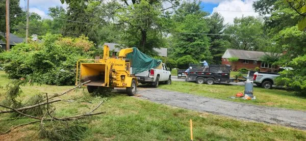 H&E Tree Service & Landscaping Logo