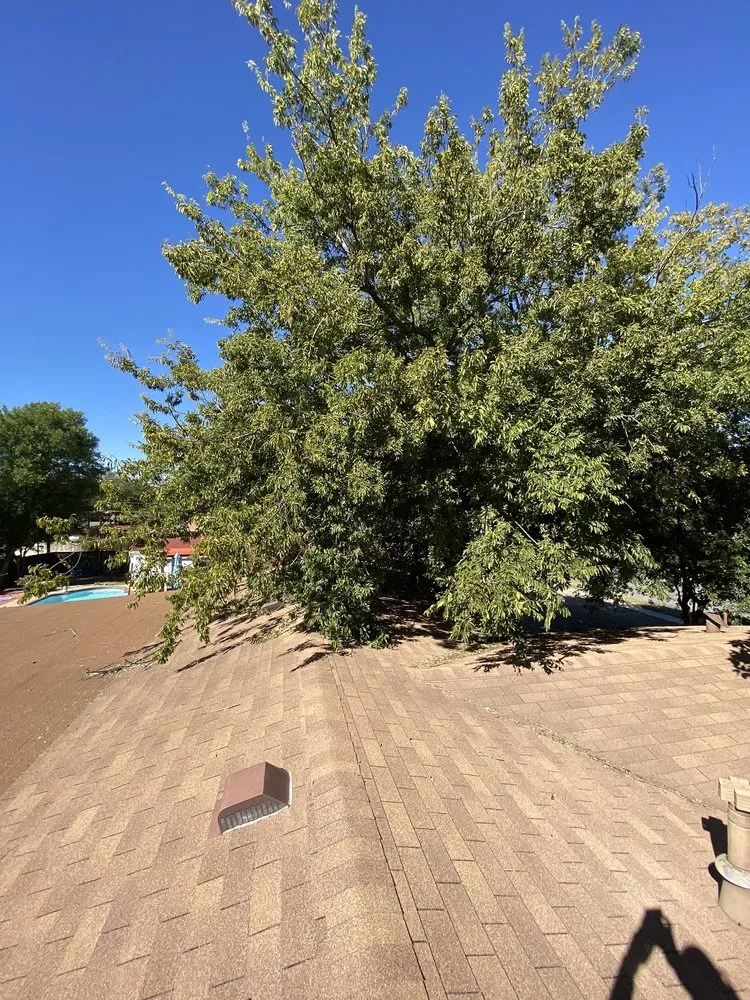 Expert garden landscaping in San Antonio, TX - He Who Creates Landscape