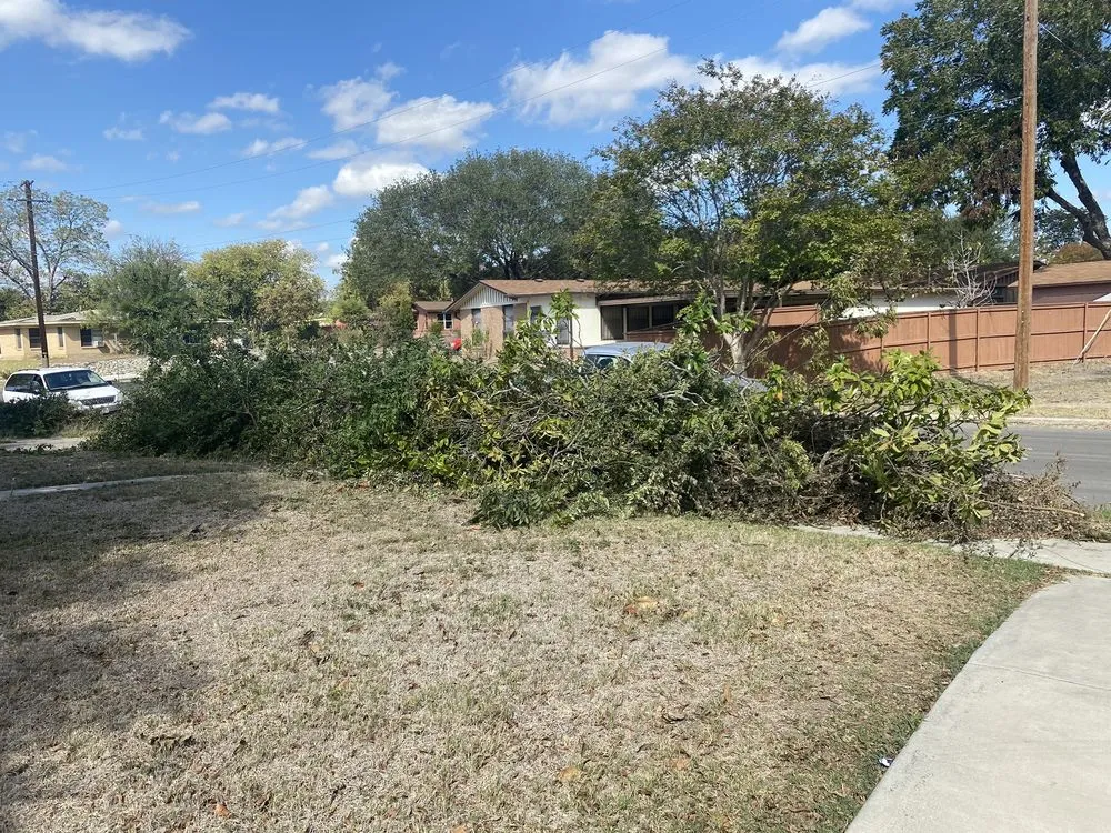 Professional outdoor landscaping in San Antonio, TX - He Who Creates Landscape