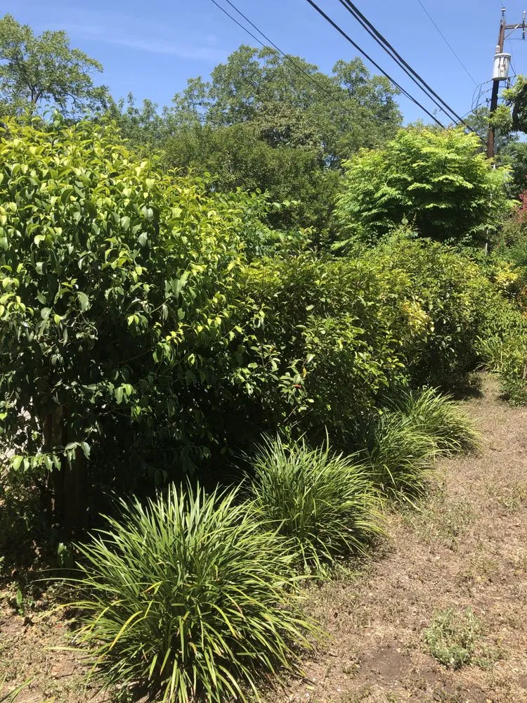 Trusted garden landscaping in San Antonio, TX - He Who Creates Landscape