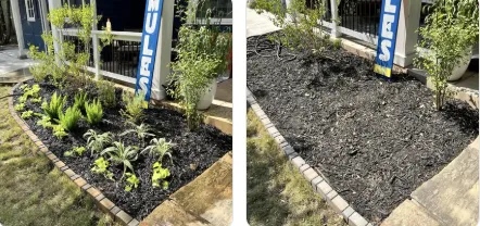 Professional lawn mowing service in San Antonio, TX by He Who Creates Landscape