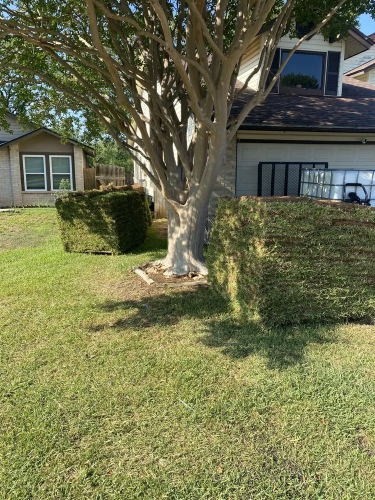 Reliable outdoor landscaping for year-round maintenance across San Antonio, TX - He Who Creates Landscape