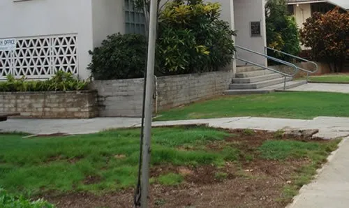 Top-rated residential landscaping in Honolulu, HI - HEA Masonry