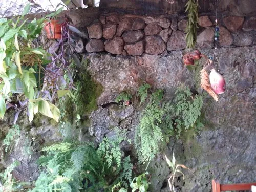 Trusted yard maintenance in Honolulu, HI - HEA Masonry