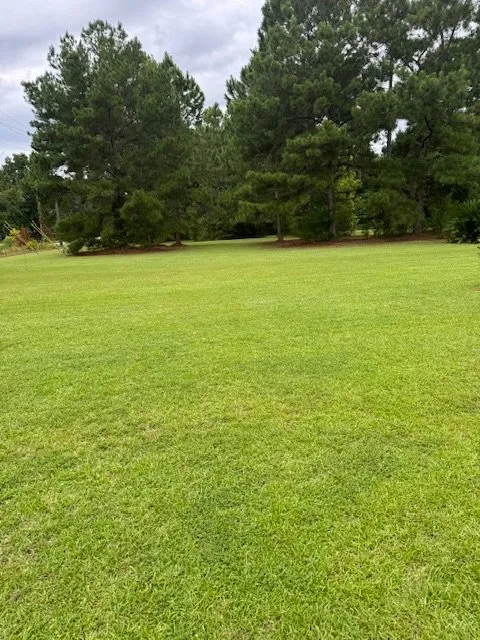 Local landscaping services experts serving Quitman, GA - Head Lawn Care Services