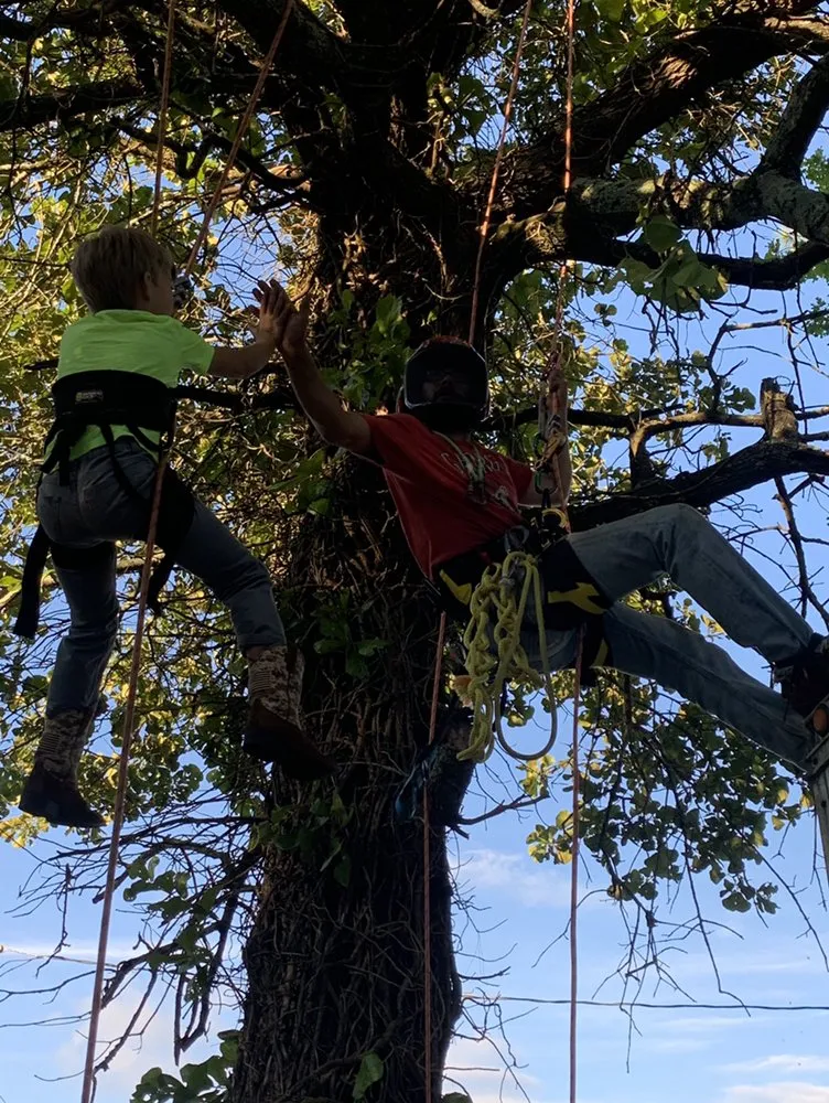 Expert lawn mowing service for outdoor upgrades across Gainesville, GA - Head Tree Service