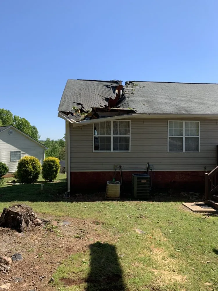Trusted yard cleanup service in Gainesville, GA - Head Tree Service