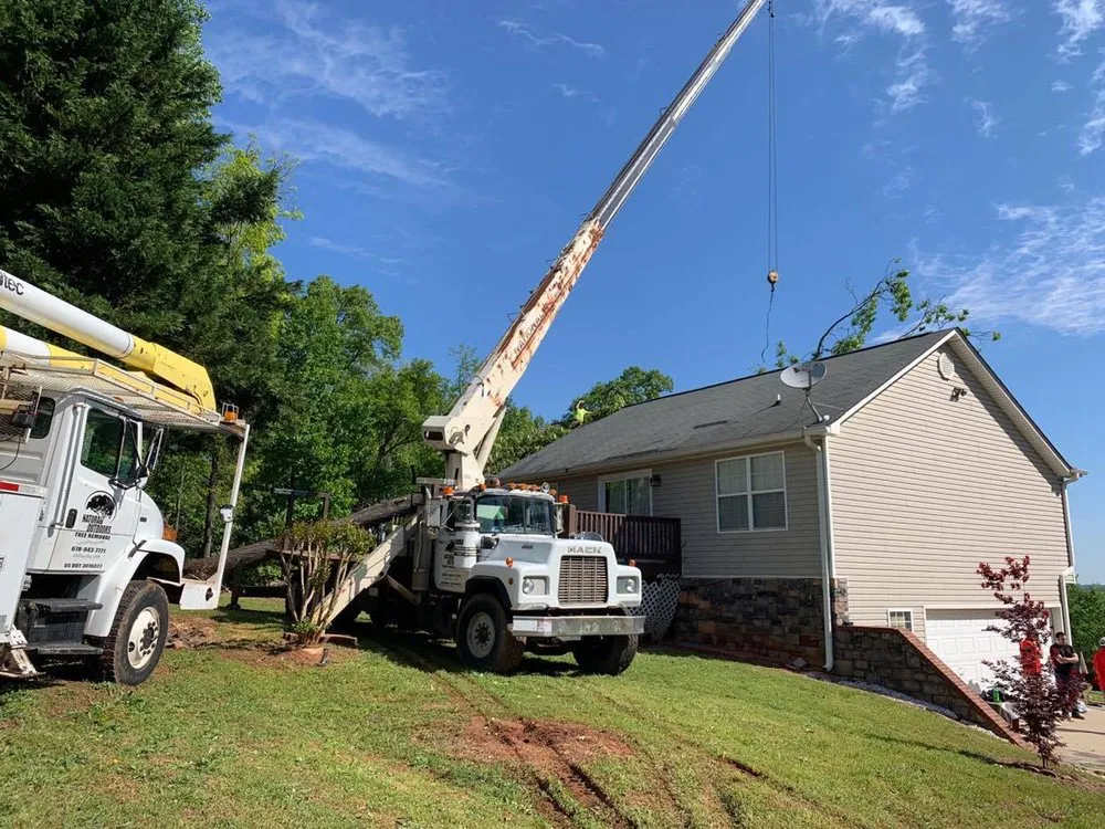 Professional landscape installation near you in Gainesville, GA by Head Tree Service
