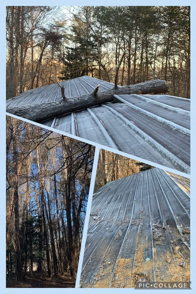 Expert yard cleanup service near you across Gainesville, GA - Head Tree Service