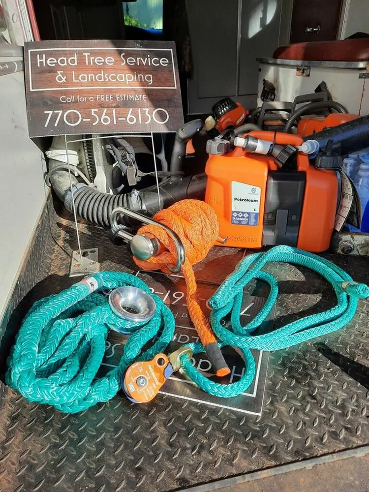 Reliable outdoor landscaping for beautiful yards across Gainesville, GA - Head Tree Service