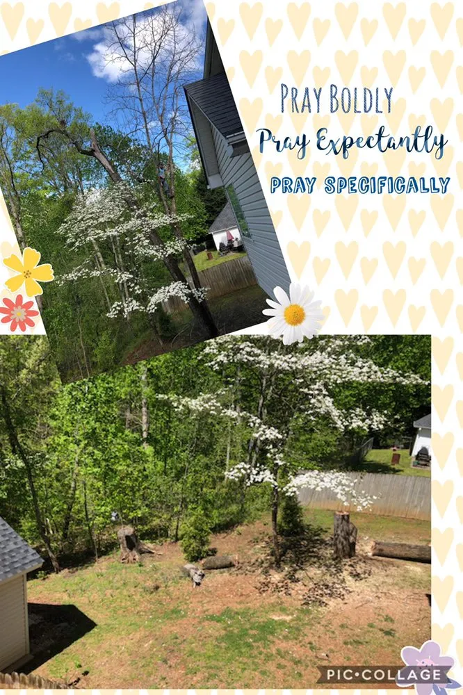 Expert yard maintenance for residential properties across Gainesville, GA - Head Tree Service