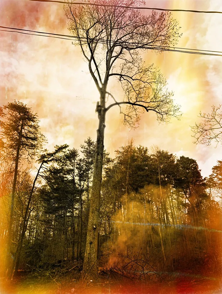 Trusted landscaping services in Gainesville, GA by Head Tree Service