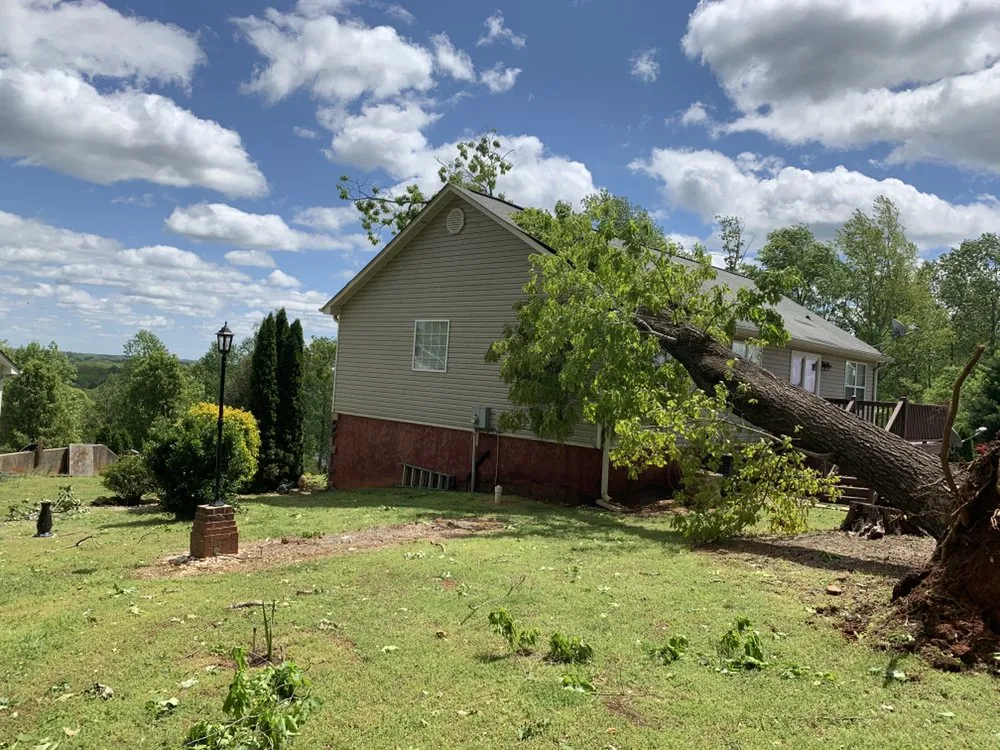 Local landscape installation for beautiful yards in Gainesville, GA by Head Tree Service