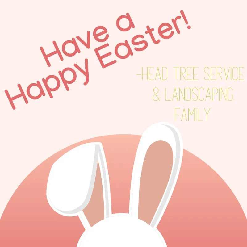 Custom garden landscaping for residential properties in Gainesville, GA by Head Tree Service