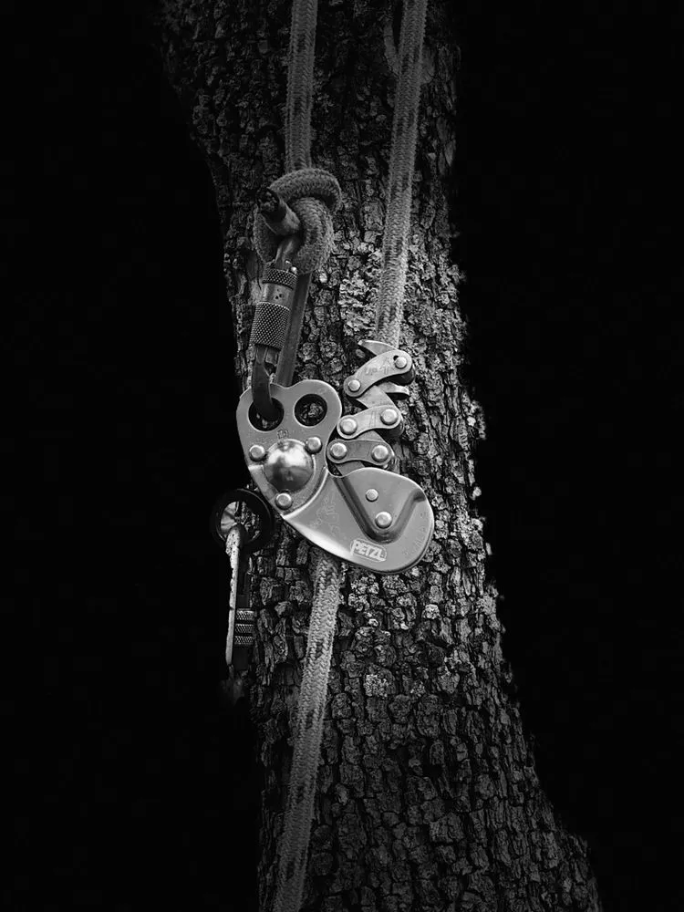 Expert yard cleanup service with custom design in Gainesville, GA by Head Tree Service