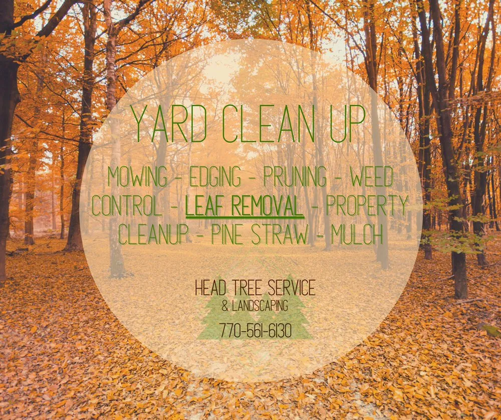 Custom landscaping services experts serving Gainesville, GA - Head Tree Service