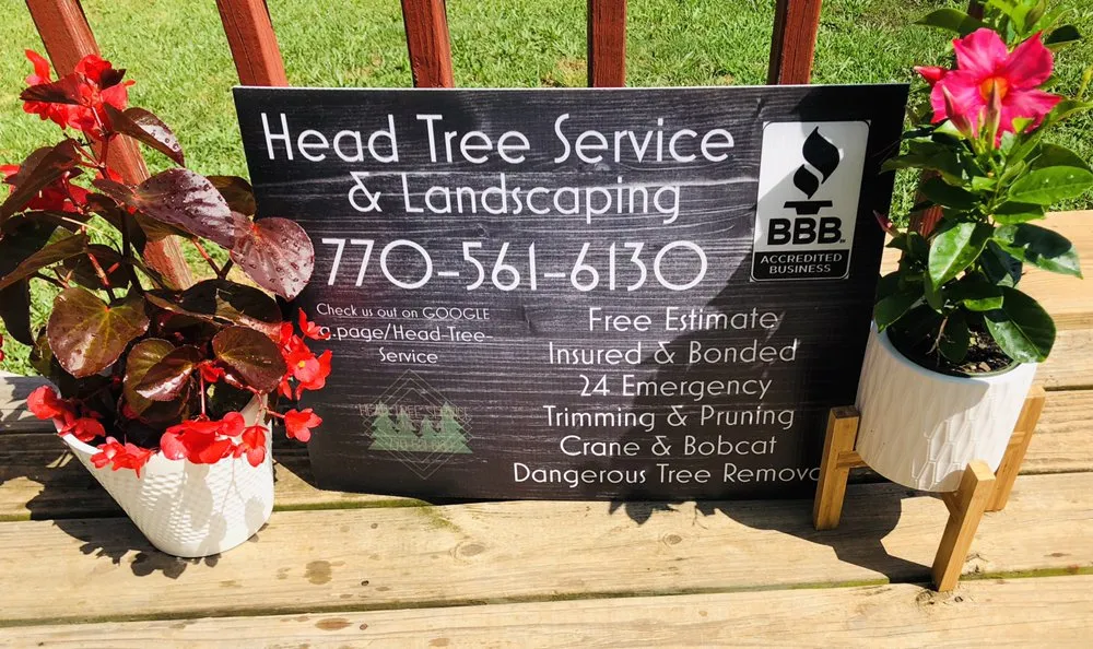 Local landscape design in Gainesville, GA - Head Tree Service