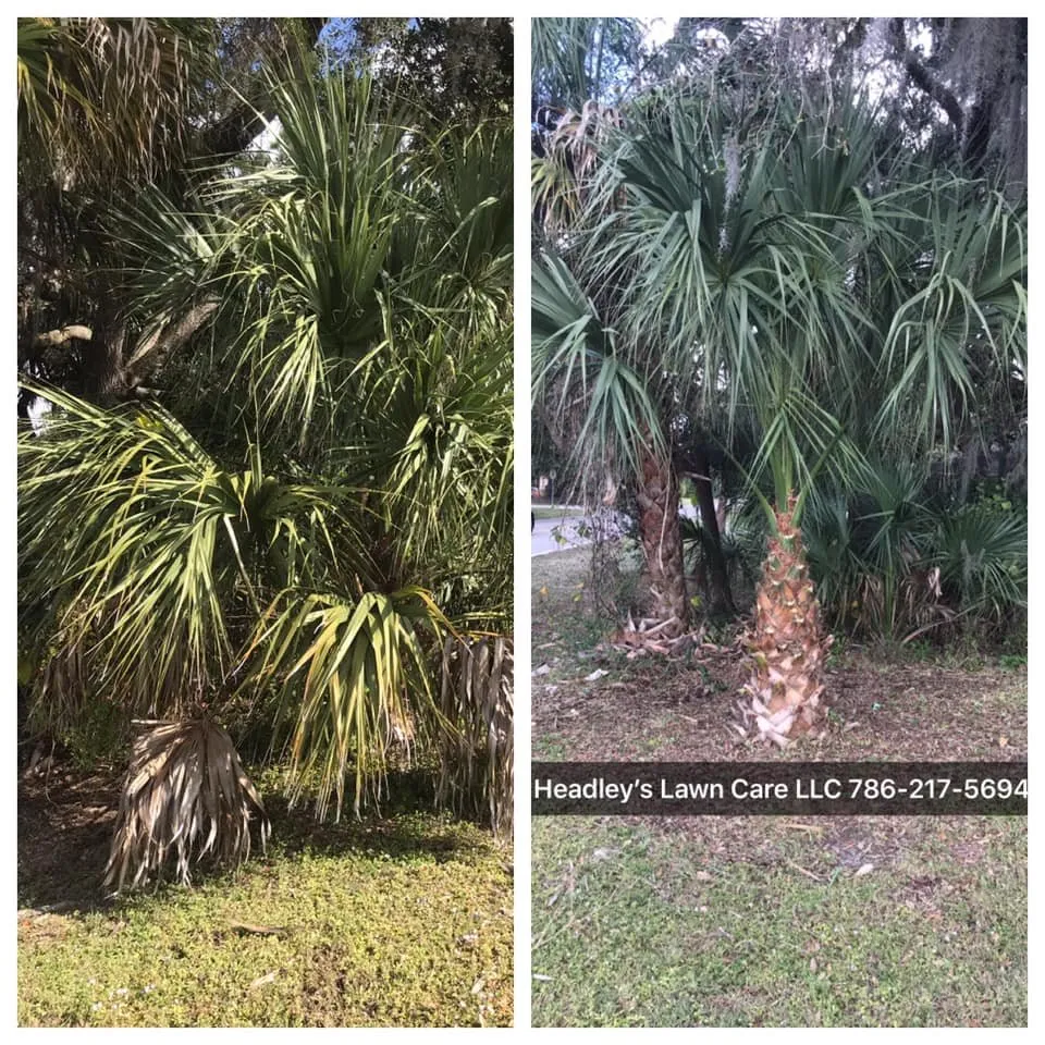 Affordable outdoor landscaping for residential properties in North Port, FL by Headley's Lawn Care