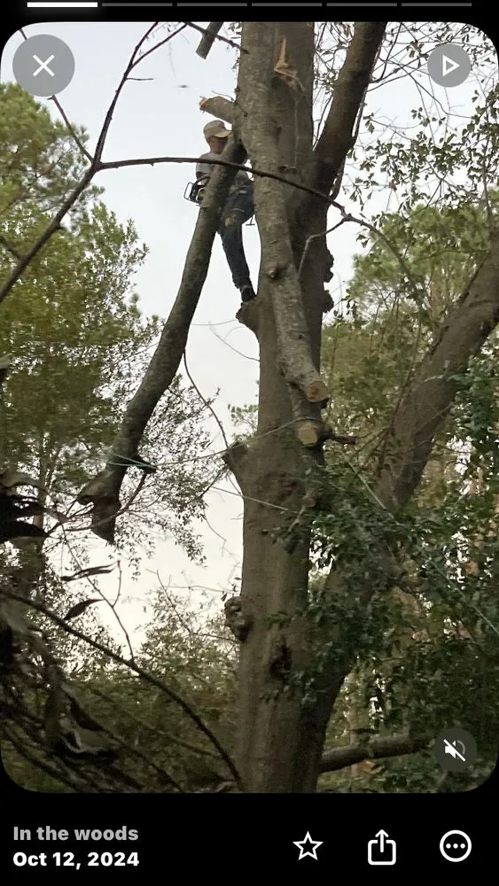 Expert landscaping services in Augusta, GA - Heads Up Landscape Solutions