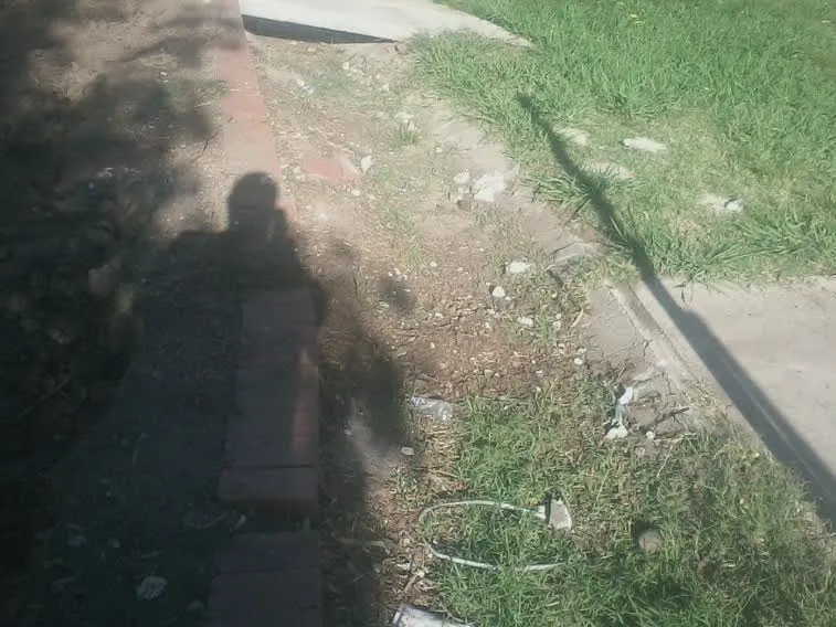 Affordable yard maintenance in San Diego, CA - Heald Irrigation Systems