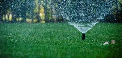 Custom lawn care service in San Diego, CA by Heald Irrigation Systems