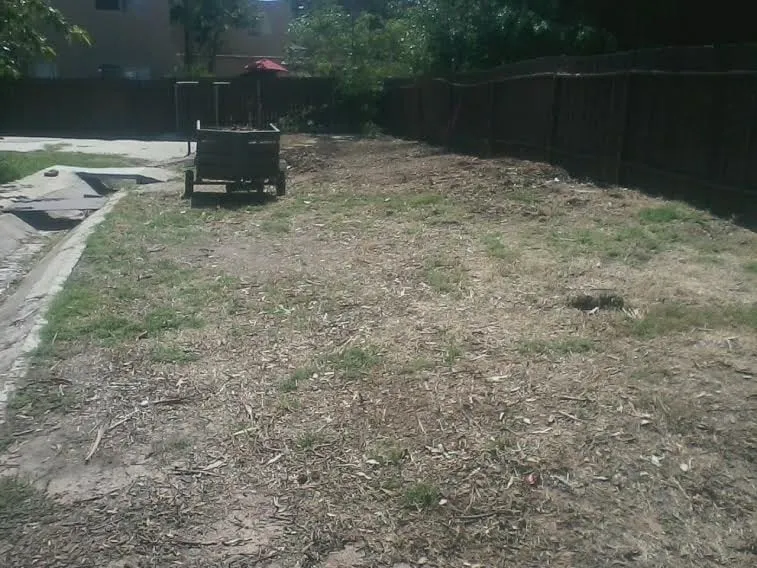 Custom landscaping services in San Diego, CA by Heald Irrigation Systems