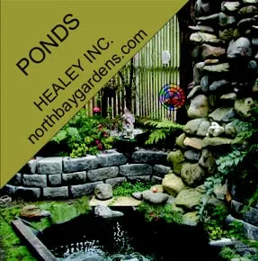 Custom outdoor landscaping experts serving Santa Rosa, CA - Healey