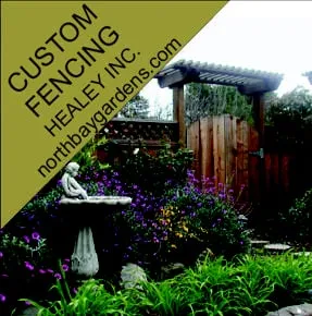 Trusted outdoor landscaping for homes in Santa Rosa, CA by Healey