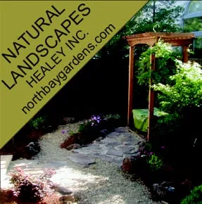 Expert landscape installation for year-round maintenance across Santa Rosa, CA - Healey