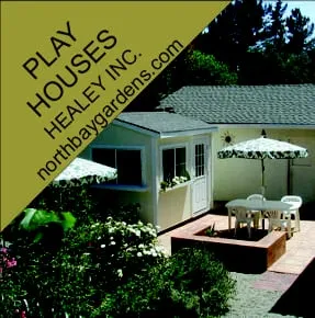 Trusted yard cleanup service in Santa Rosa, CA by Healey