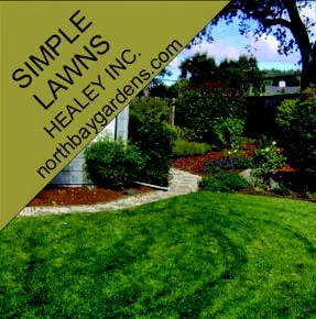 Top-rated garden landscaping for homes across Santa Rosa, CA - Healey