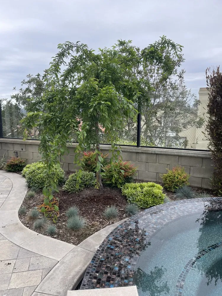 Top-rated landscape installation for year-round maintenance in Dana Point, CA by Healing Gardens Landscaping