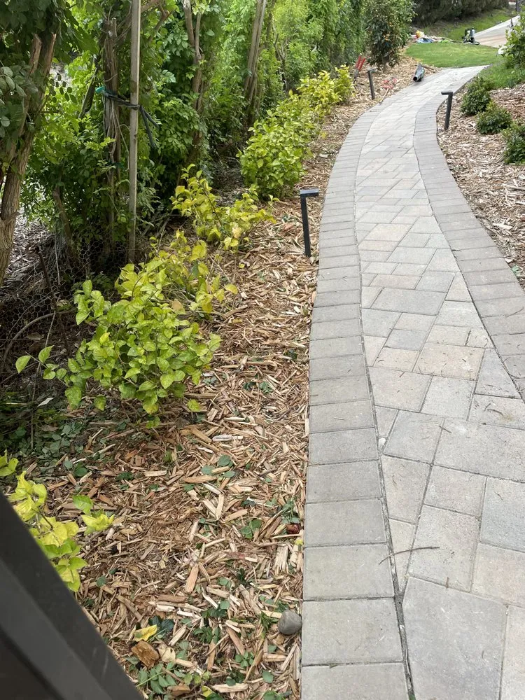 Affordable lawn mowing service for outdoor upgrades in Dana Point, CA by Healing Gardens Landscaping