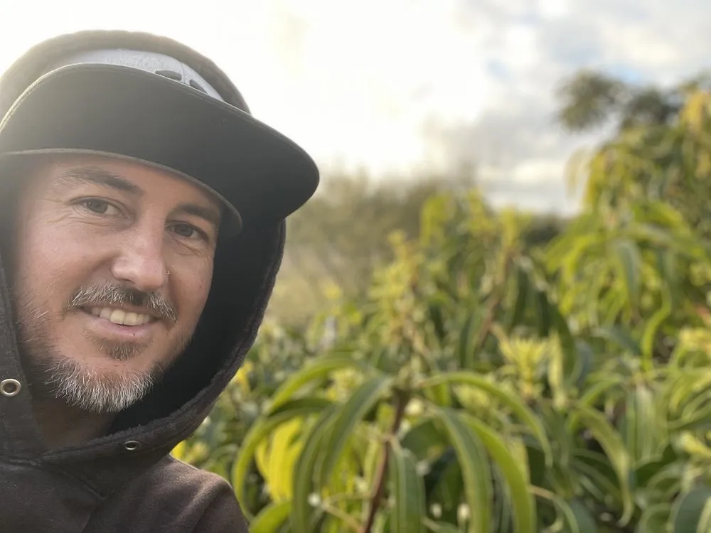 Custom lawn mowing service near you across Dana Point, CA - Healing Gardens Landscaping