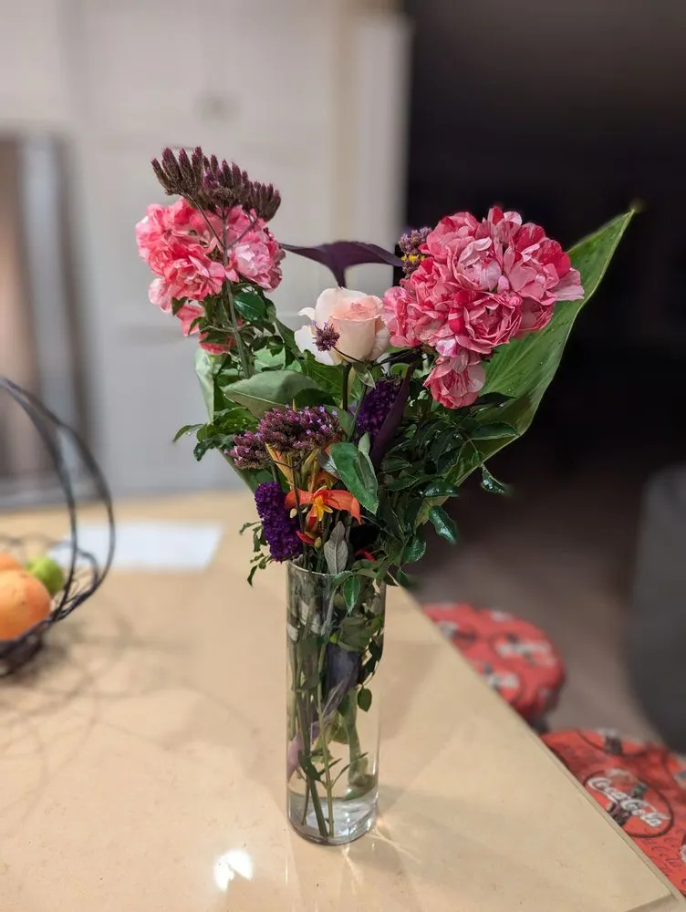 Reliable garden landscaping experts serving Dana Point, CA - Healing Gardens Landscaping