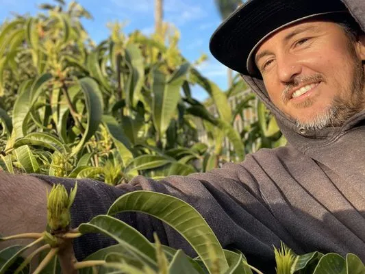 Healing Gardens Landscaping Logo