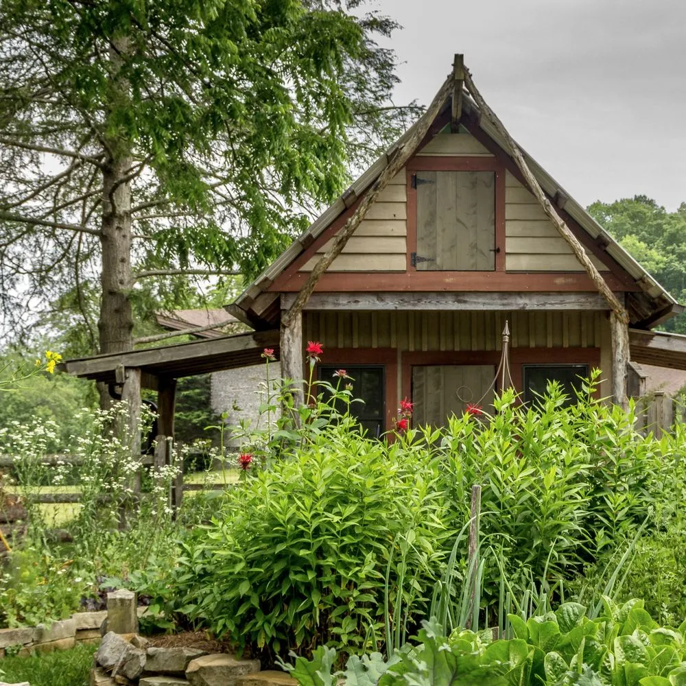 Reliable yard maintenance near you in Asheville, NC by Healing Roots Design