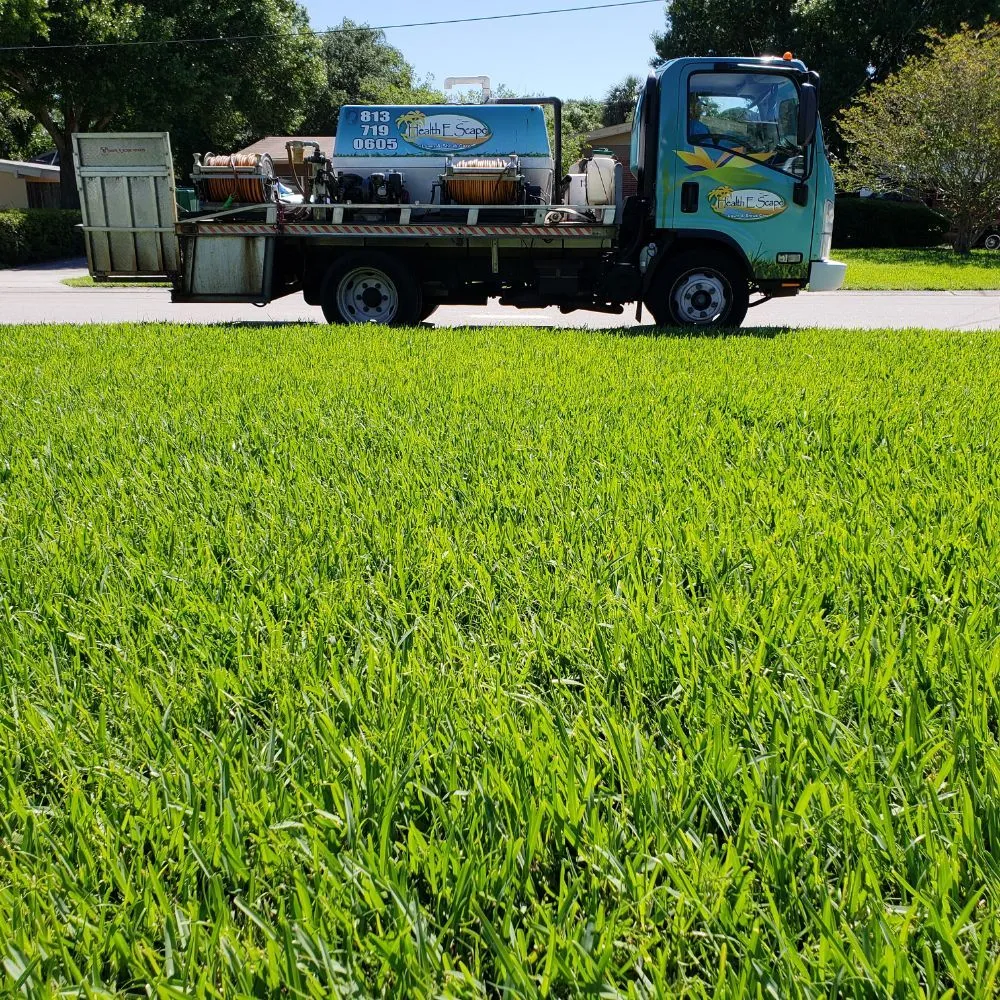 Trusted residential landscaping experts serving Plant City, FL - Health E Scape