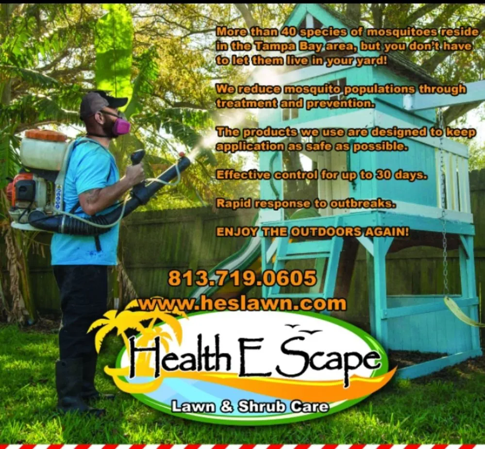 Trusted landscape design in Plant City, FL - Health E Scape