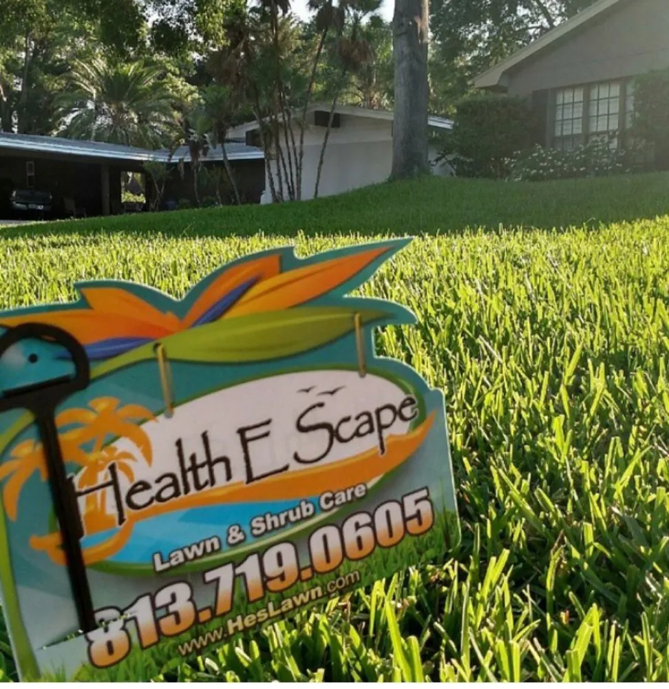 Expert yard cleanup service in Plant City, FL - Health E Scape